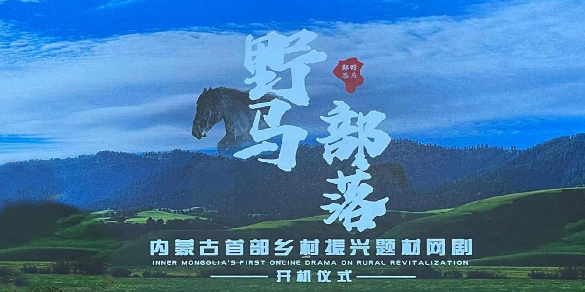 野马文化传媒